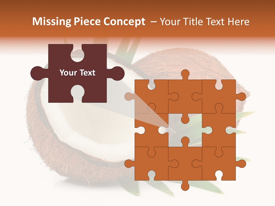 Section Shell Creativity PowerPoint Template