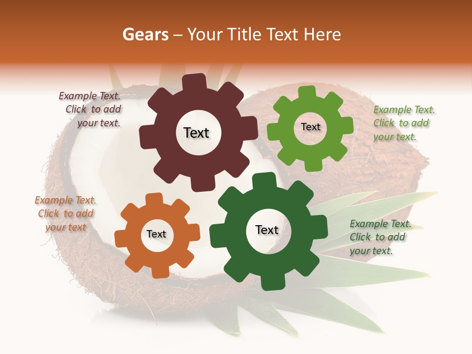 Section Shell Creativity PowerPoint Template