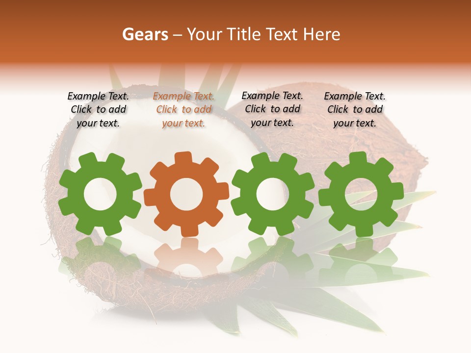 Section Shell Creativity PowerPoint Template