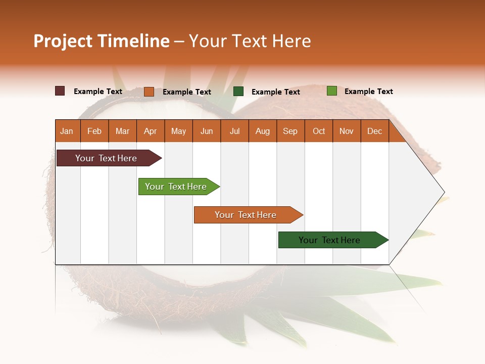 Section Shell Creativity PowerPoint Template