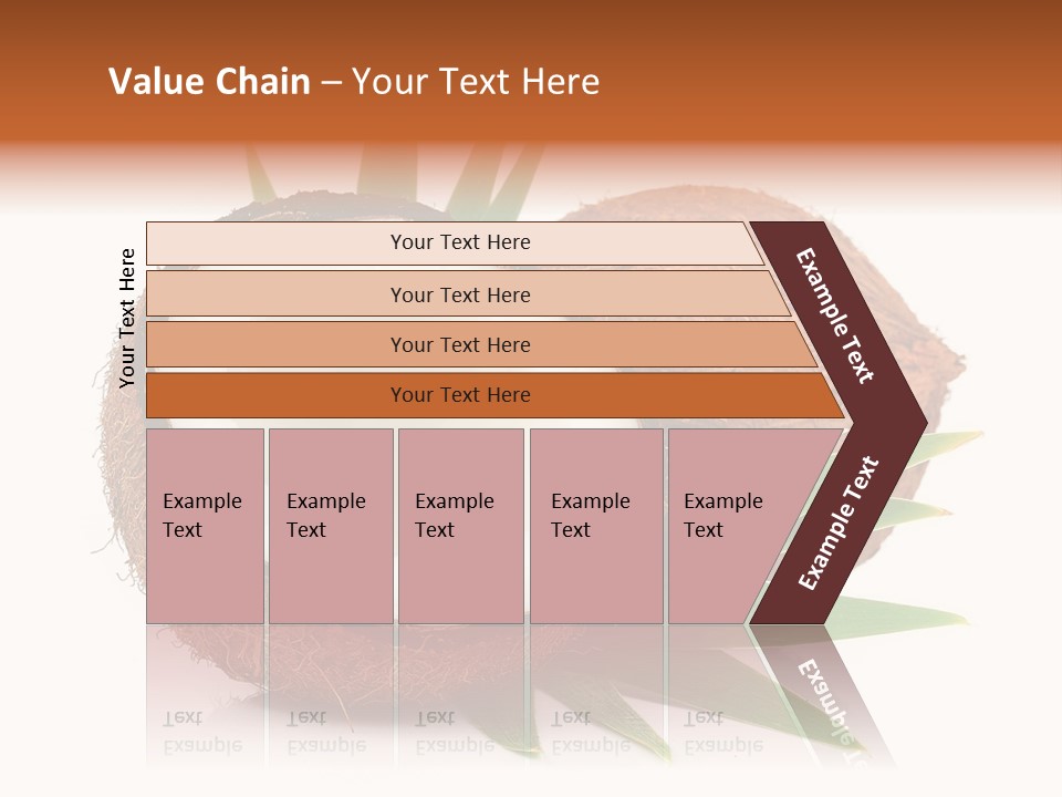 Section Shell Creativity PowerPoint Template