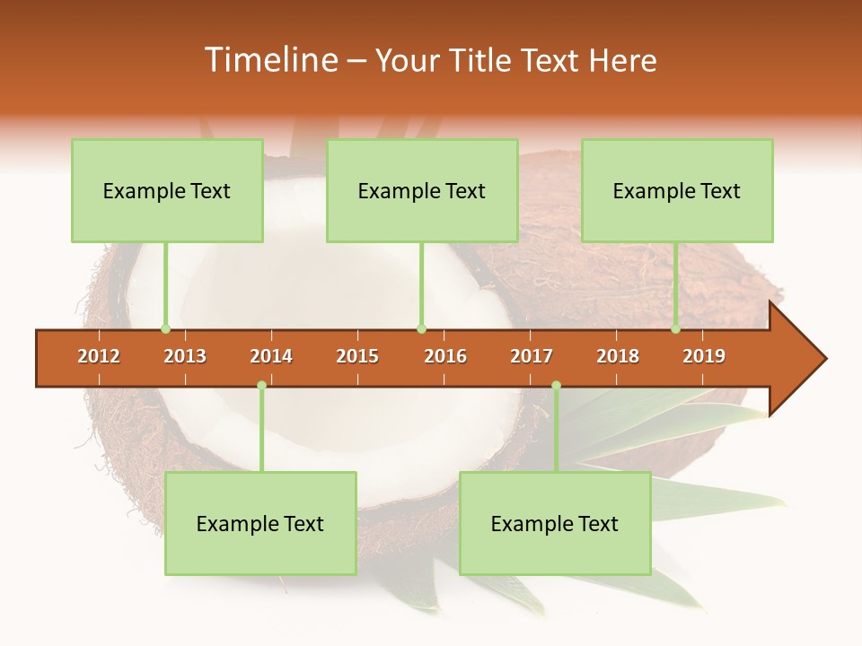 Section Shell Creativity PowerPoint Template