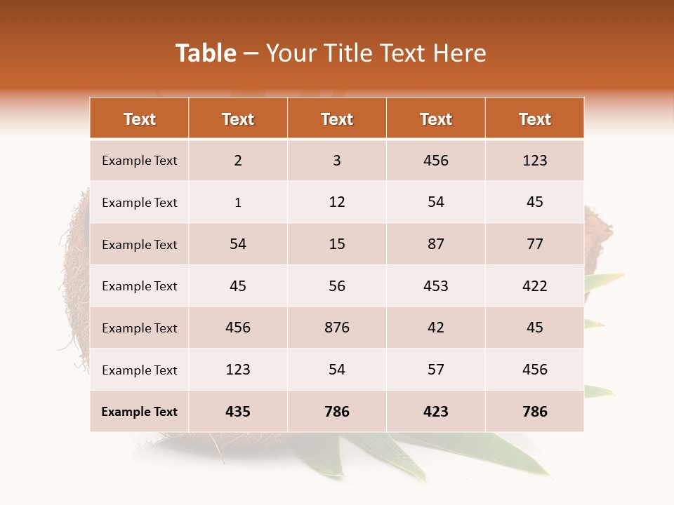 Section Shell Creativity PowerPoint Template