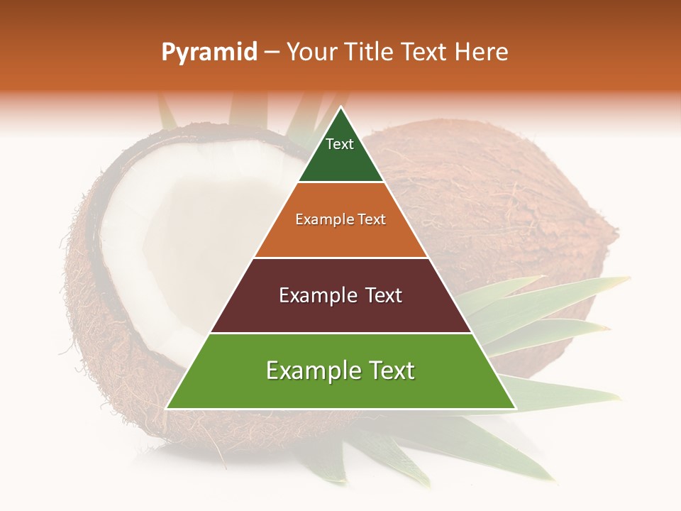 Section Shell Creativity PowerPoint Template