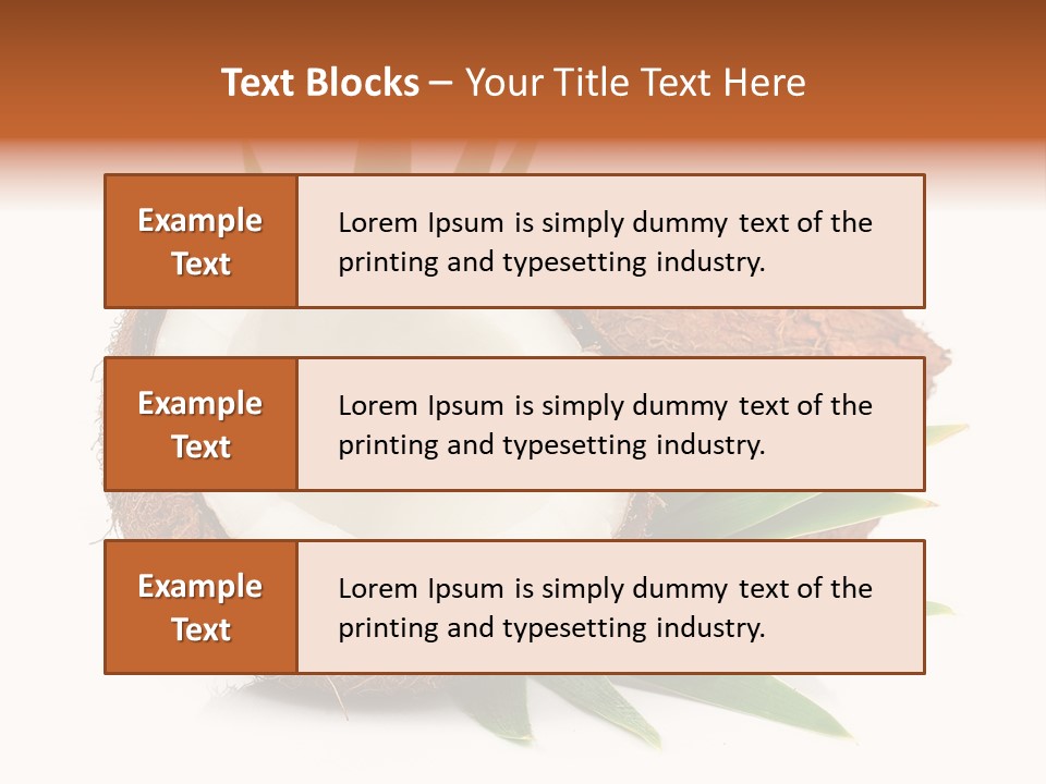 Section Shell Creativity PowerPoint Template