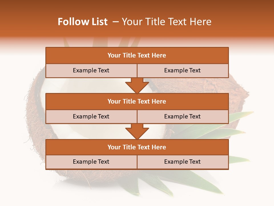 Section Shell Creativity PowerPoint Template