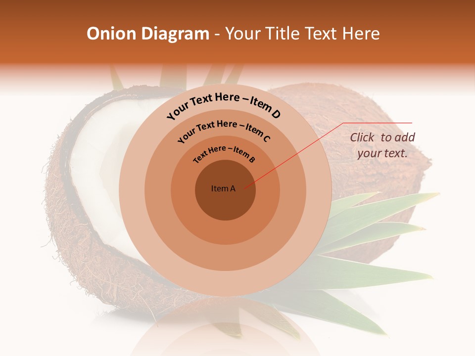 Section Shell Creativity PowerPoint Template