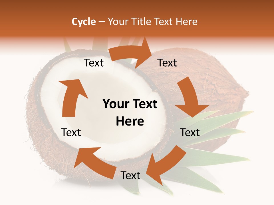 Section Shell Creativity PowerPoint Template