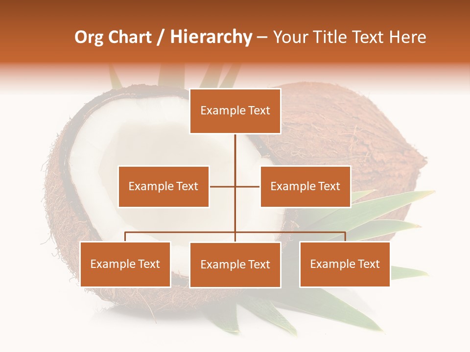 Section Shell Creativity PowerPoint Template