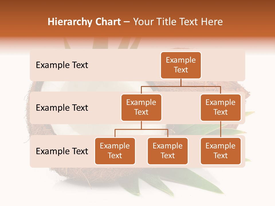 Section Shell Creativity PowerPoint Template