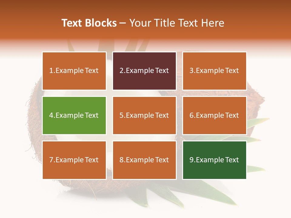 Section Shell Creativity PowerPoint Template