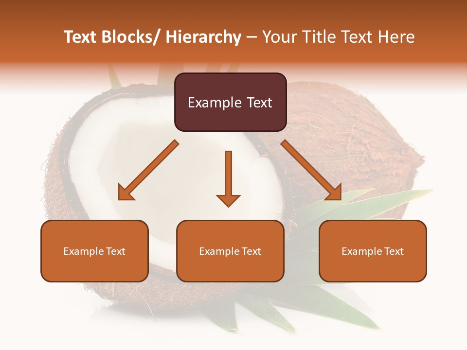 Section Shell Creativity PowerPoint Template