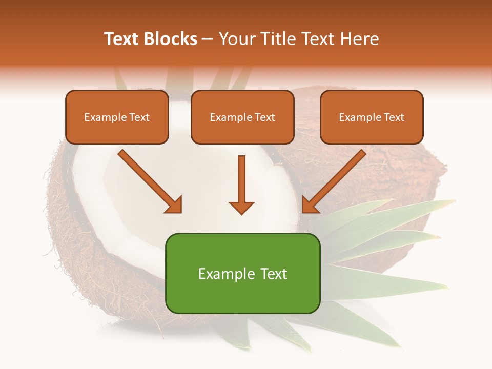 Section Shell Creativity PowerPoint Template