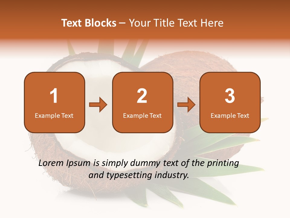 Section Shell Creativity PowerPoint Template