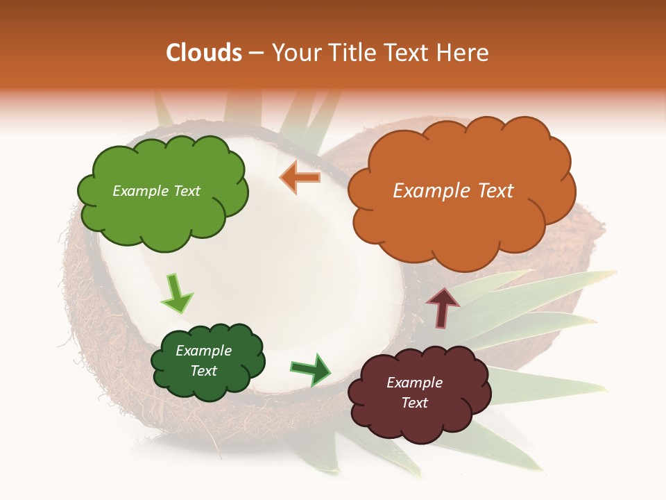 Section Shell Creativity PowerPoint Template