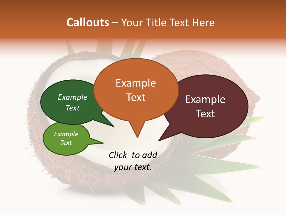 Section Shell Creativity PowerPoint Template