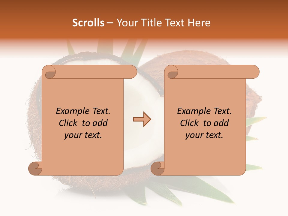 Section Shell Creativity PowerPoint Template