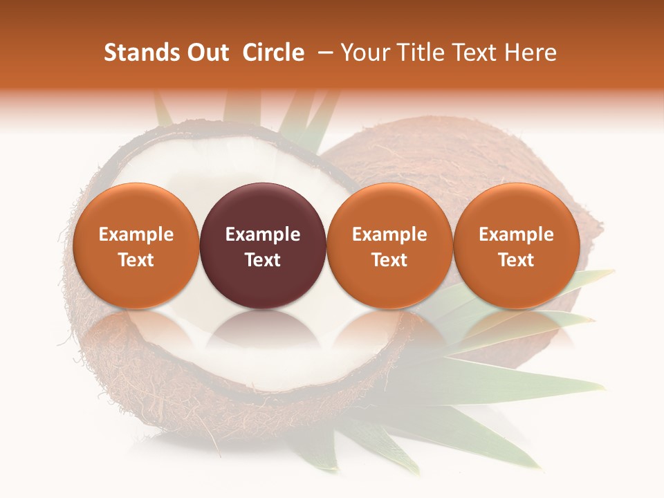 Section Shell Creativity PowerPoint Template