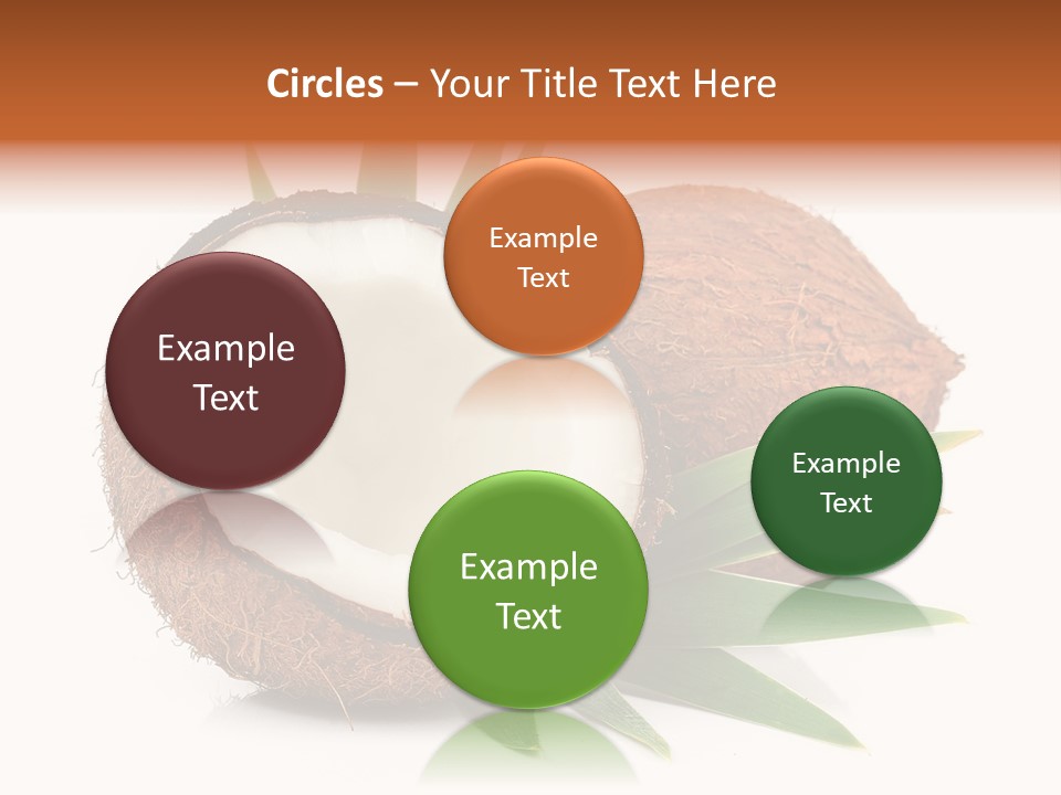 Section Shell Creativity PowerPoint Template