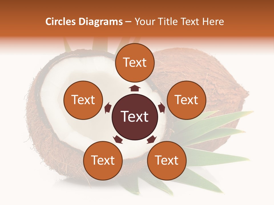 Section Shell Creativity PowerPoint Template