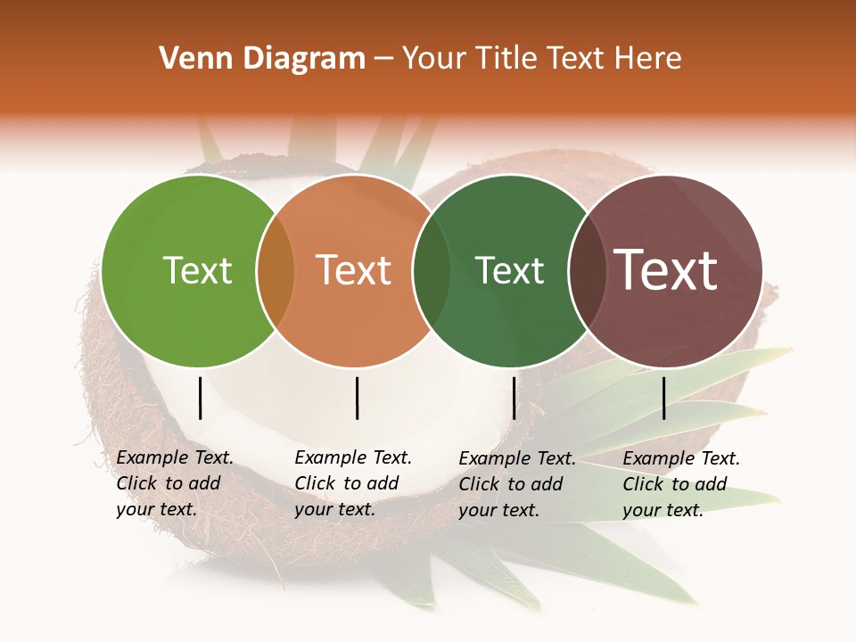 Section Shell Creativity PowerPoint Template