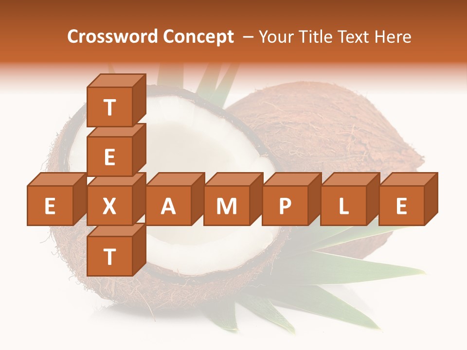 Section Shell Creativity PowerPoint Template