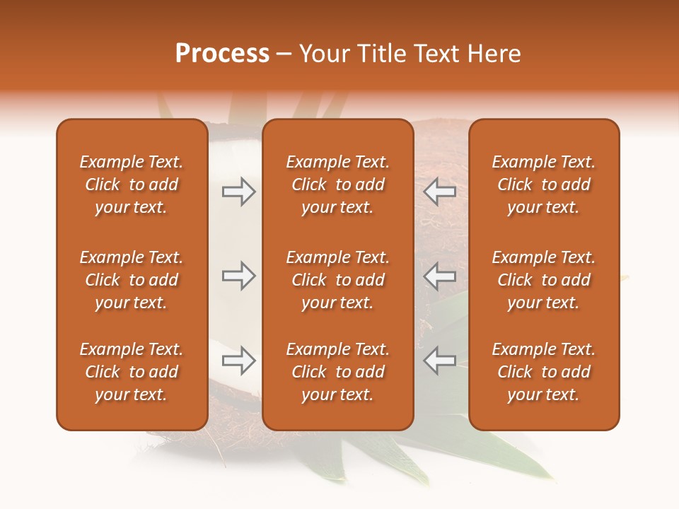Section Shell Creativity PowerPoint Template