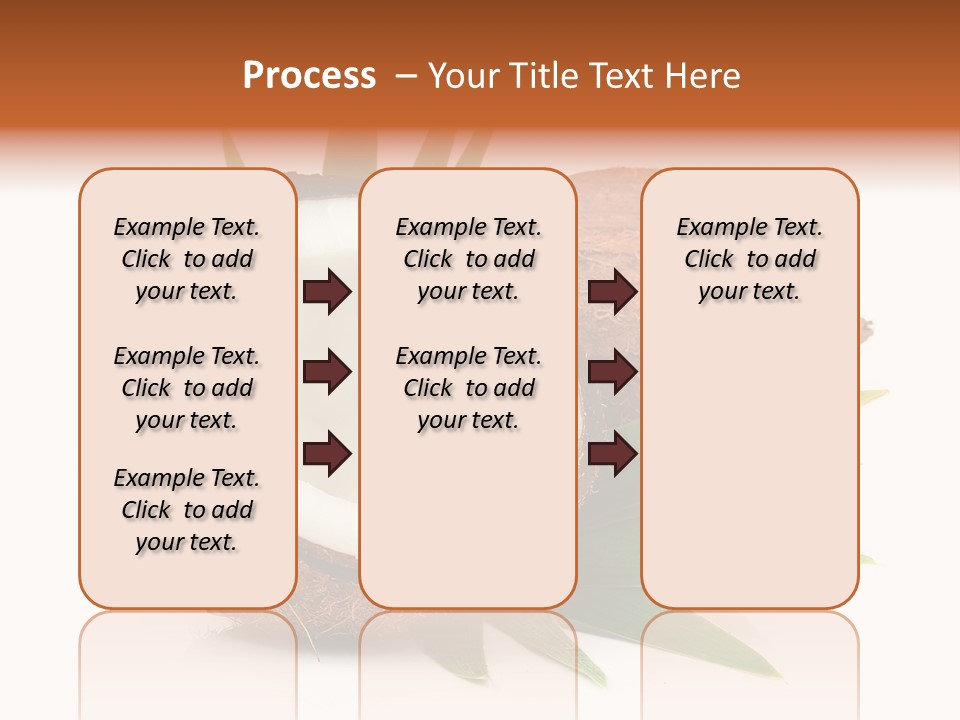 Section Shell Creativity PowerPoint Template