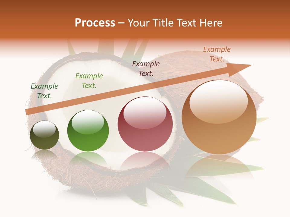 Section Shell Creativity PowerPoint Template