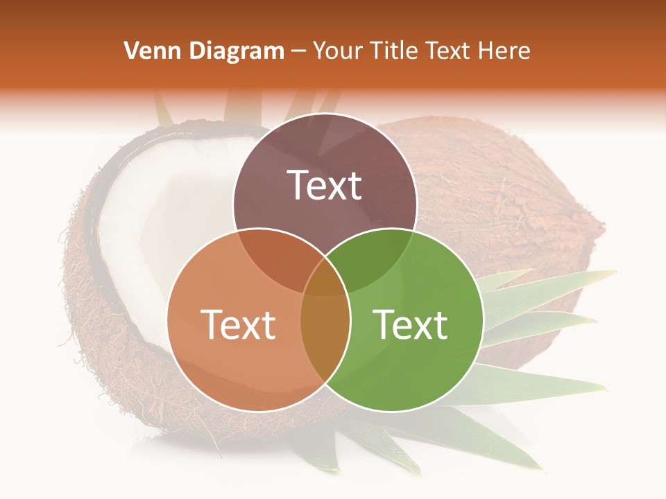Section Shell Creativity PowerPoint Template