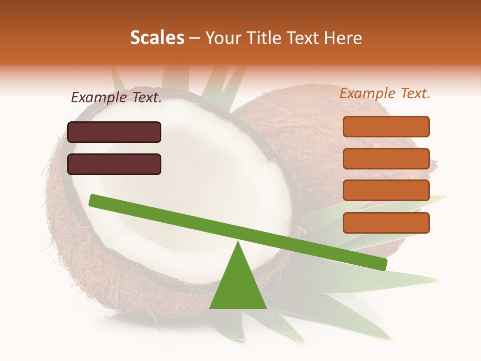 Section Shell Creativity PowerPoint Template