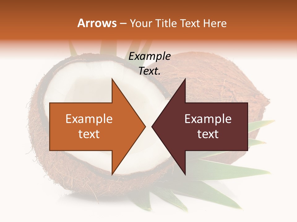 Section Shell Creativity PowerPoint Template