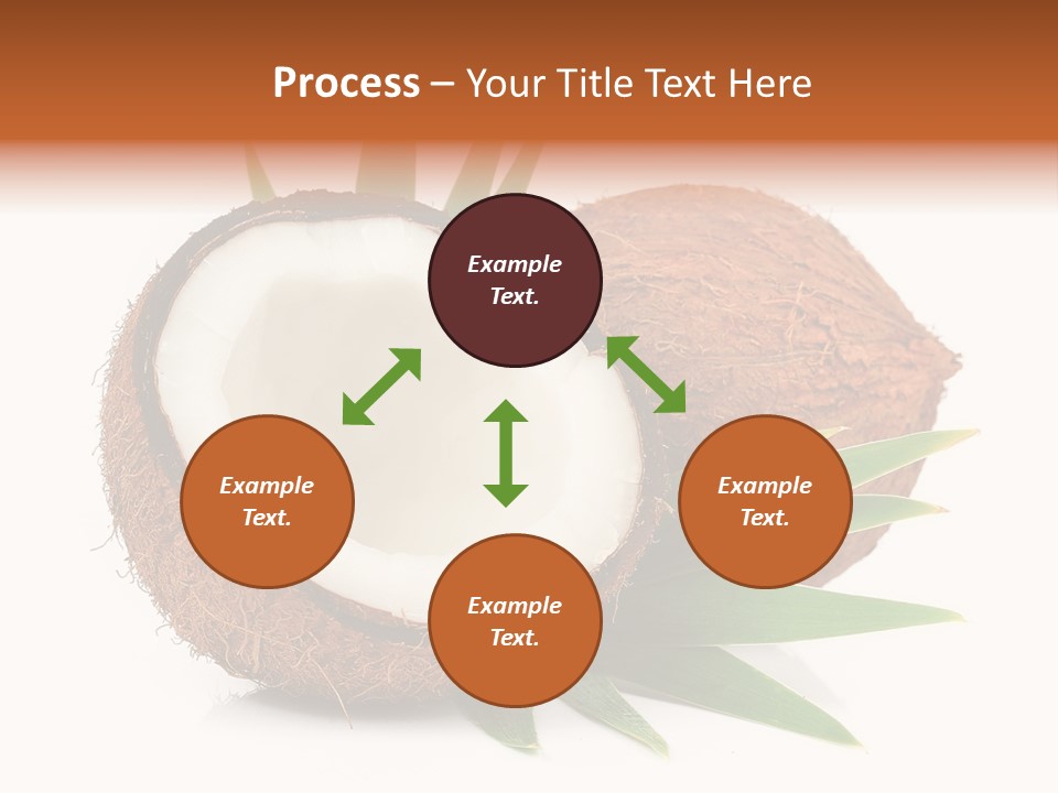 Section Shell Creativity PowerPoint Template
