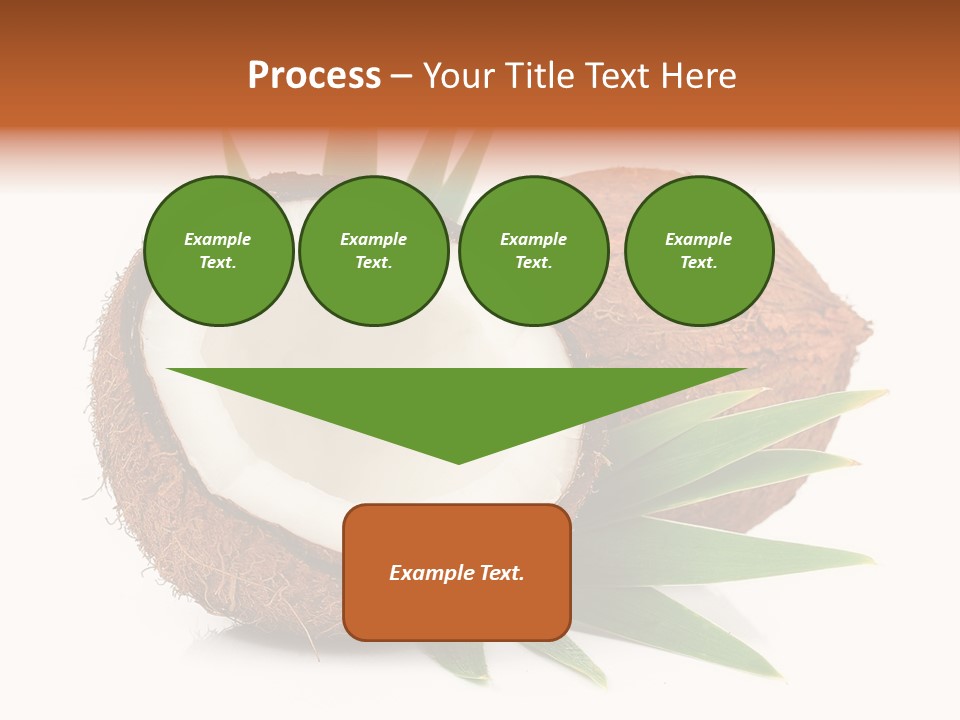 Section Shell Creativity PowerPoint Template