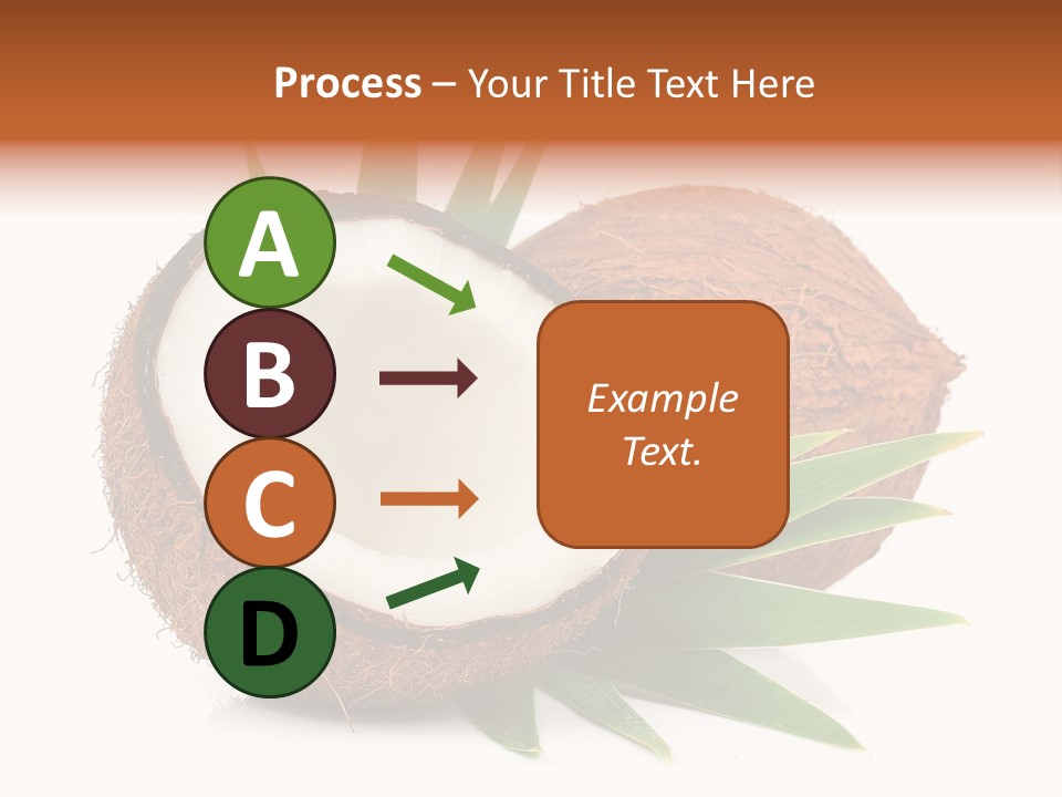 Section Shell Creativity PowerPoint Template