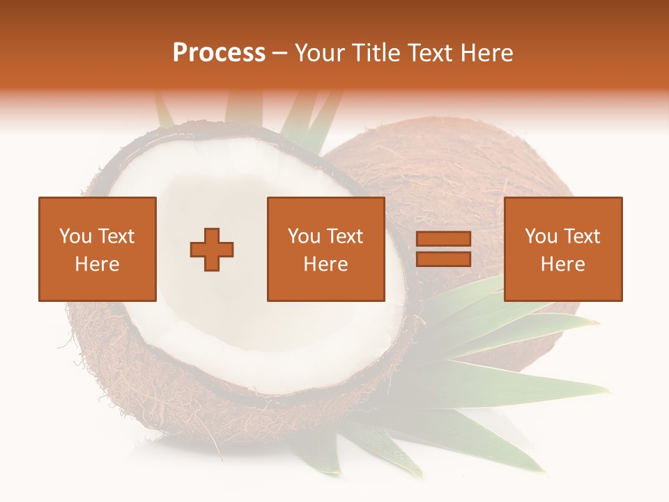 Section Shell Creativity PowerPoint Template