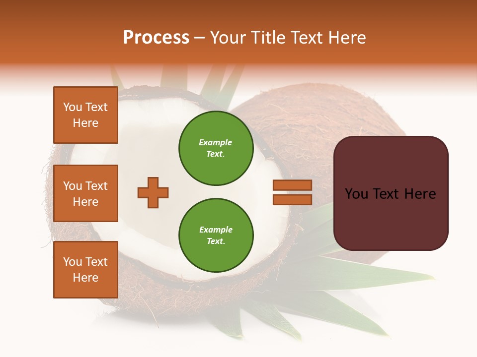 Section Shell Creativity PowerPoint Template