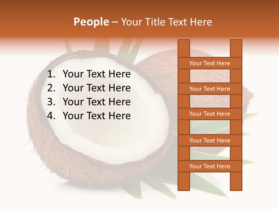 Section Shell Creativity PowerPoint Template