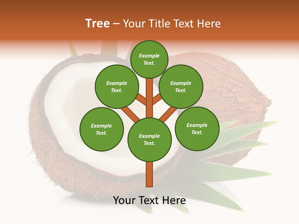 Section Shell Creativity PowerPoint Template