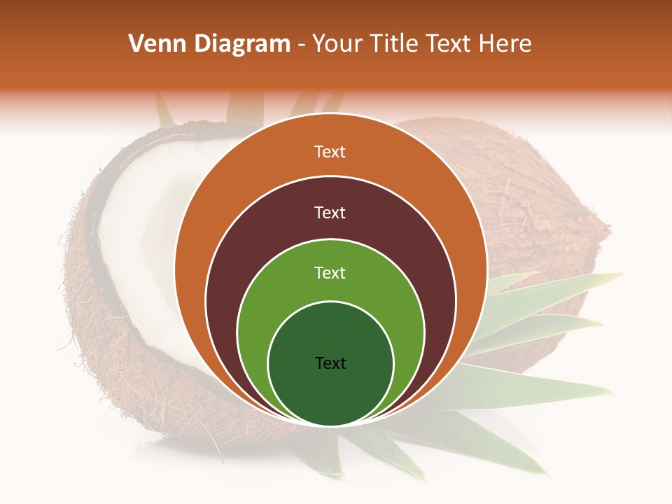 Section Shell Creativity PowerPoint Template