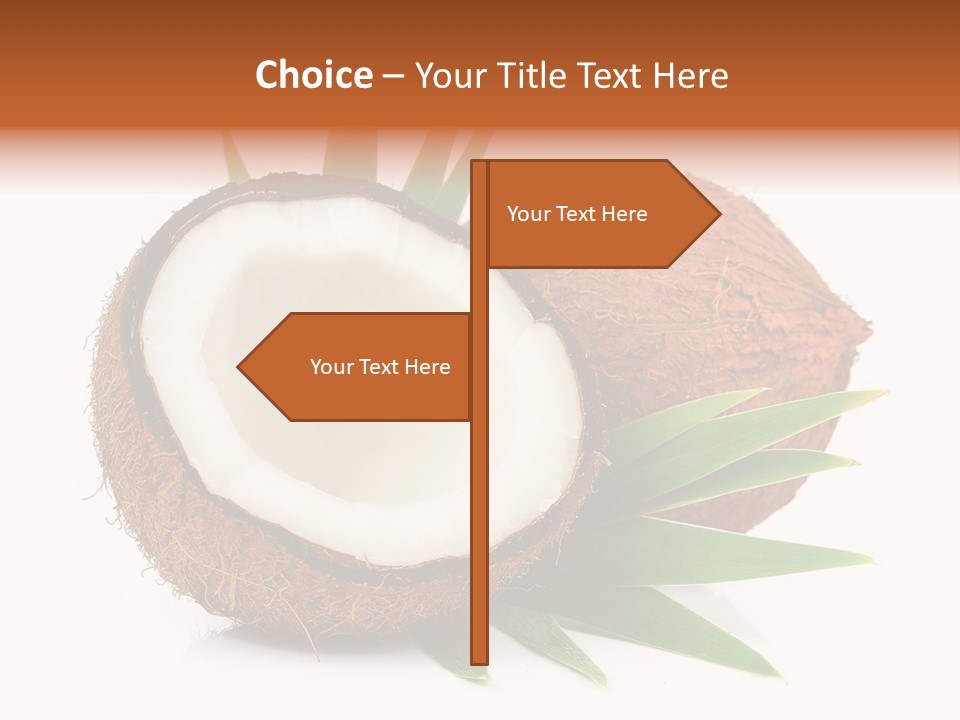 Section Shell Creativity PowerPoint Template