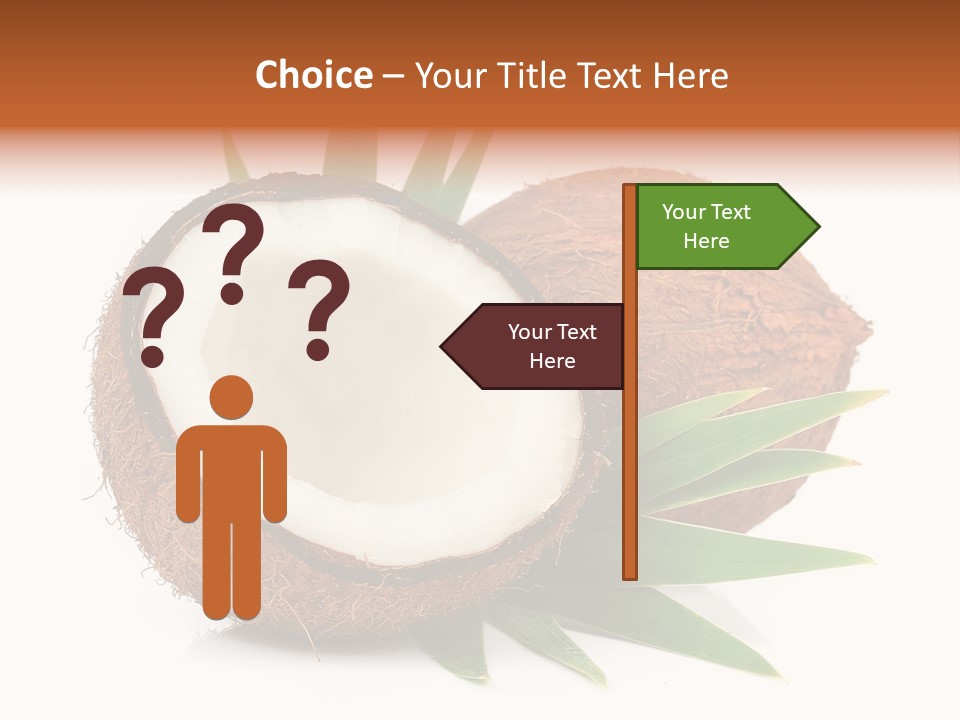 Section Shell Creativity PowerPoint Template