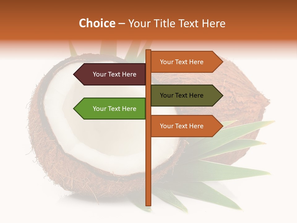 Section Shell Creativity PowerPoint Template