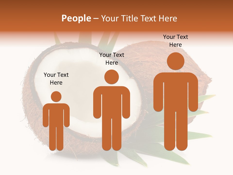 Section Shell Creativity PowerPoint Template