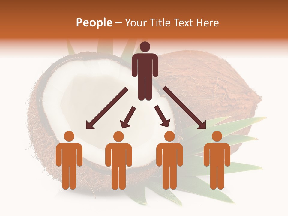 Section Shell Creativity PowerPoint Template