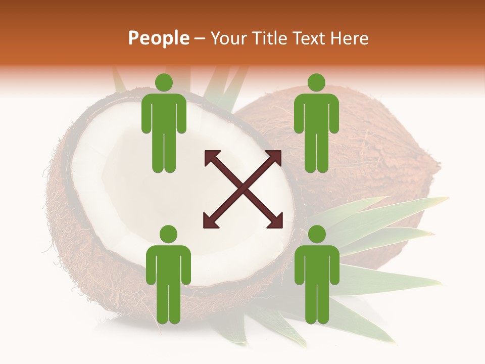 Section Shell Creativity PowerPoint Template