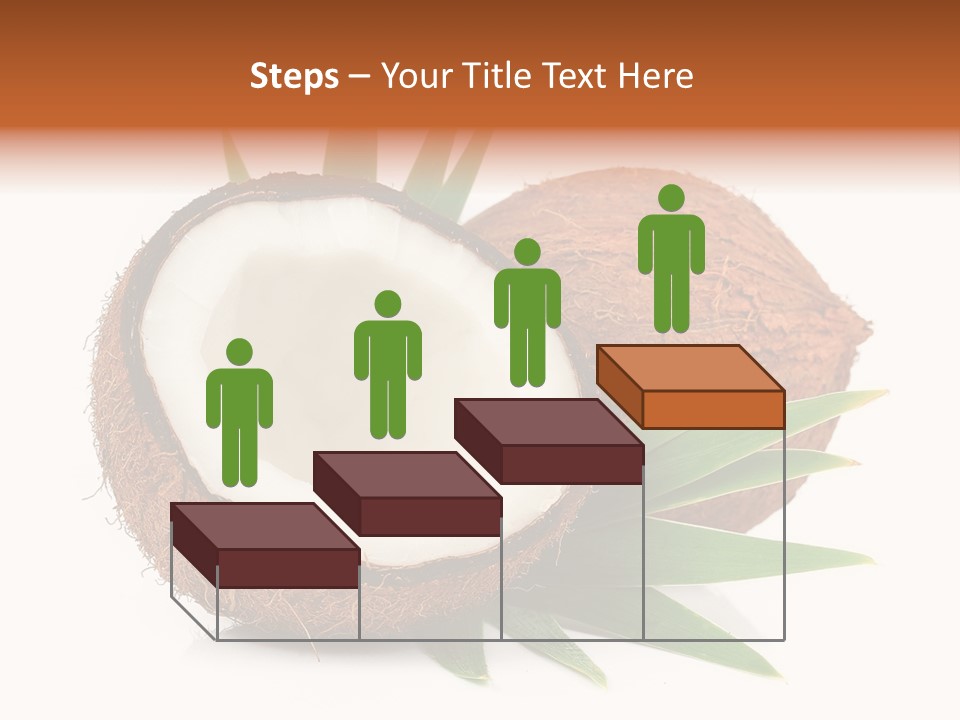 Section Shell Creativity PowerPoint Template