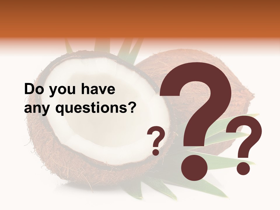 Section Shell Creativity PowerPoint Template