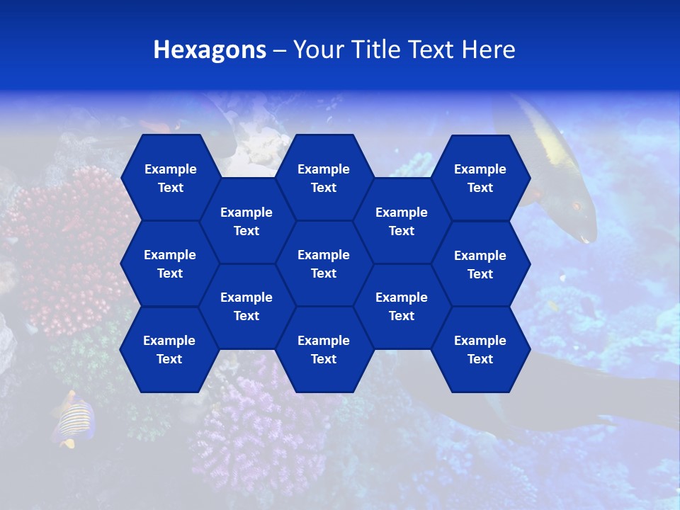 Many Ocean Depth PowerPoint Template