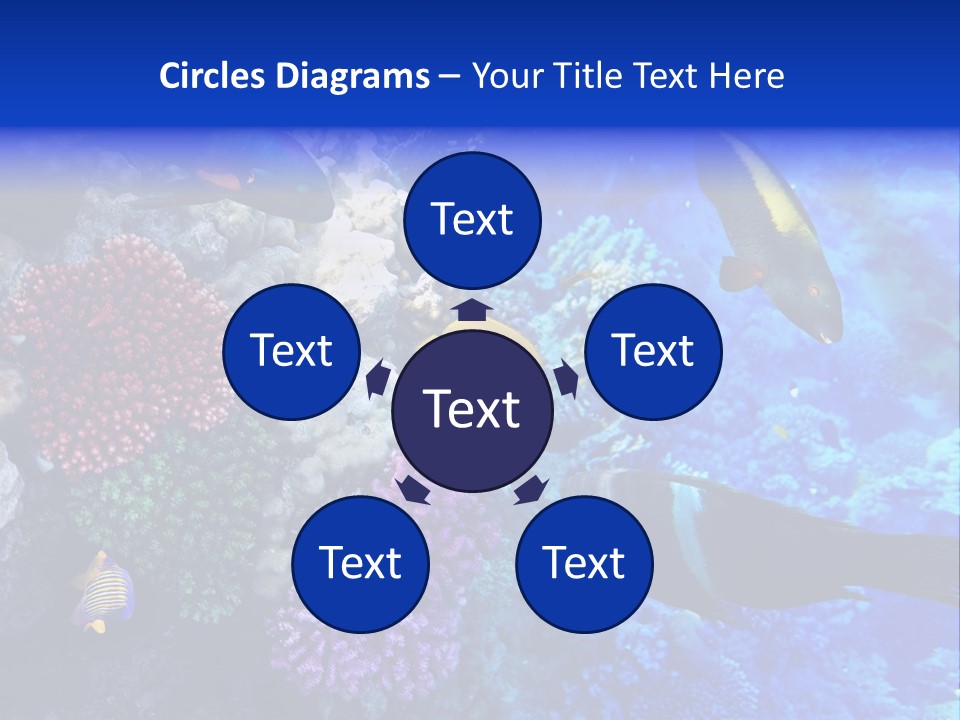 Many Ocean Depth PowerPoint Template